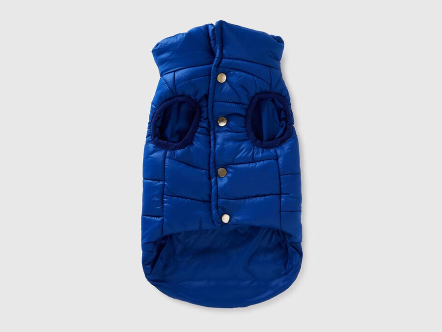 chaqueta acolchada azul aciano para perros