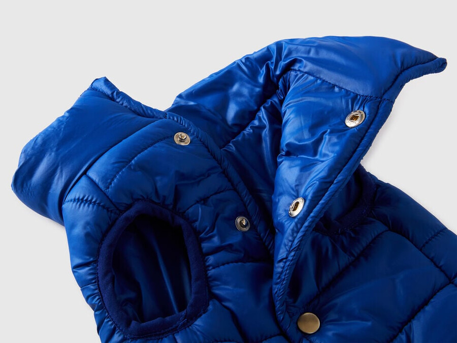 chaqueta acolchada azul aciano para perros